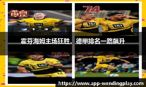 霍芬海姆主场狂胜，德甲排名一路飙升